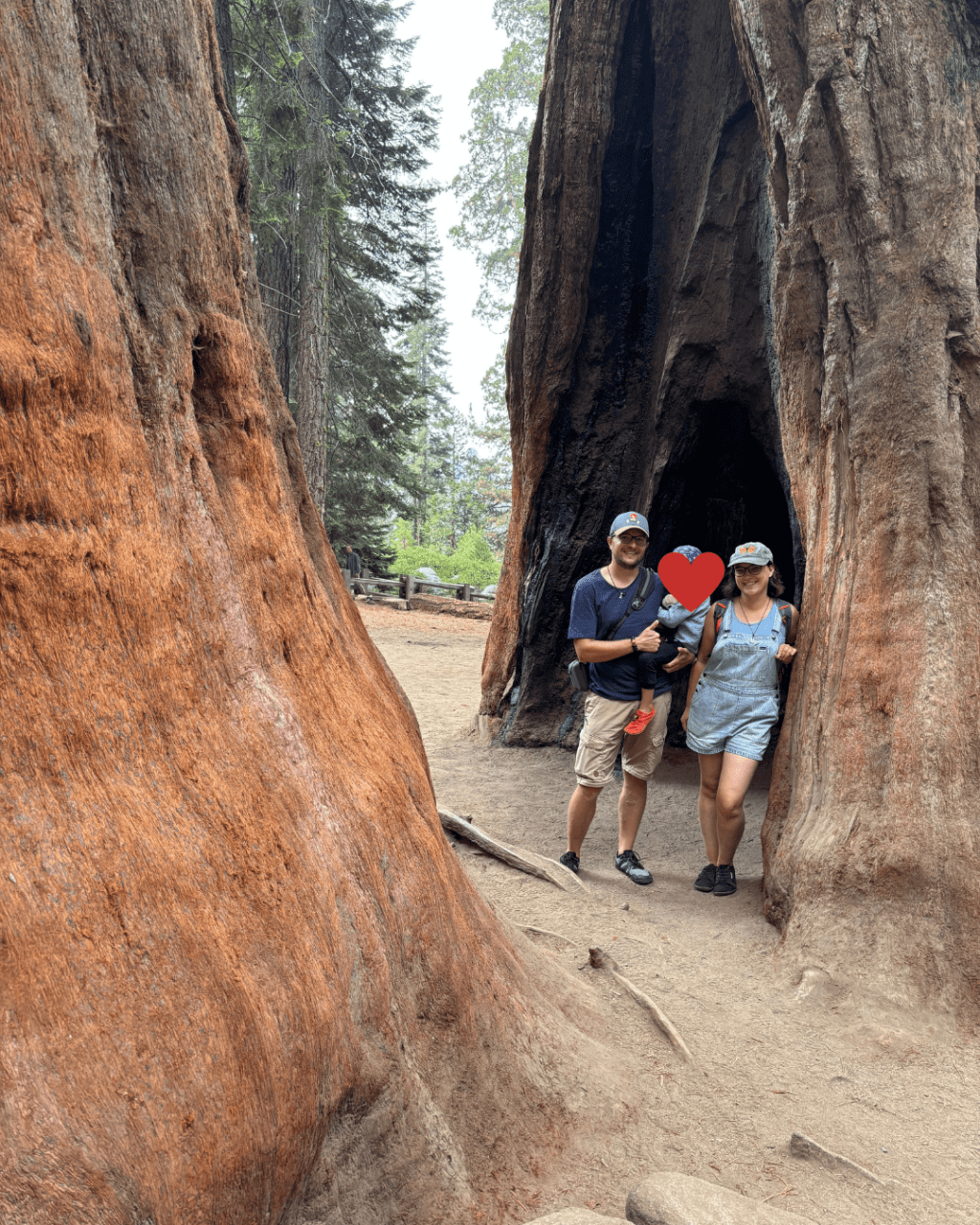 Schön das du hier bist!
